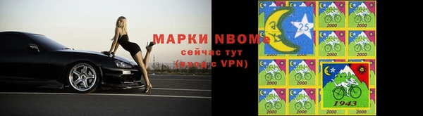 шишки Бугульма