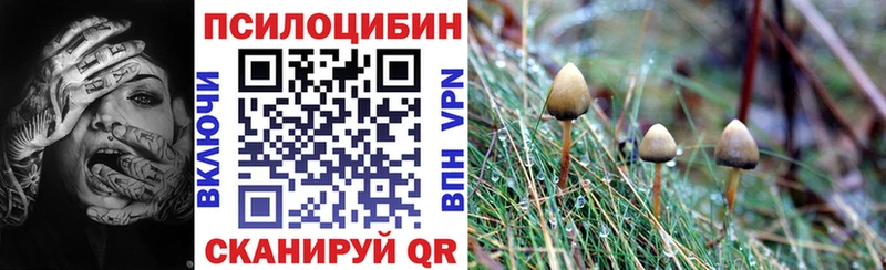 Галлюциногенные грибы GOLDEN TEACHER Нерюнгри