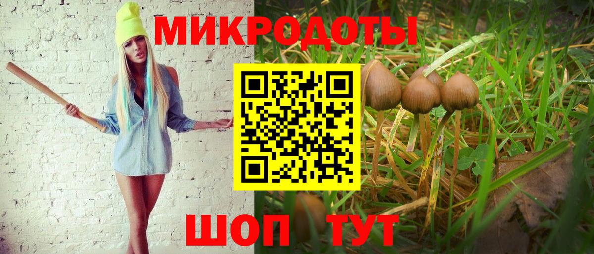Галлюциногенные грибы Magic Shrooms Нерюнгри